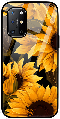 Sunflower Glass Case